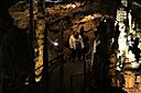 IMG_6696.jpg