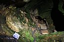 IMG_6735.jpg