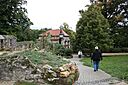 IMG_6754.jpg