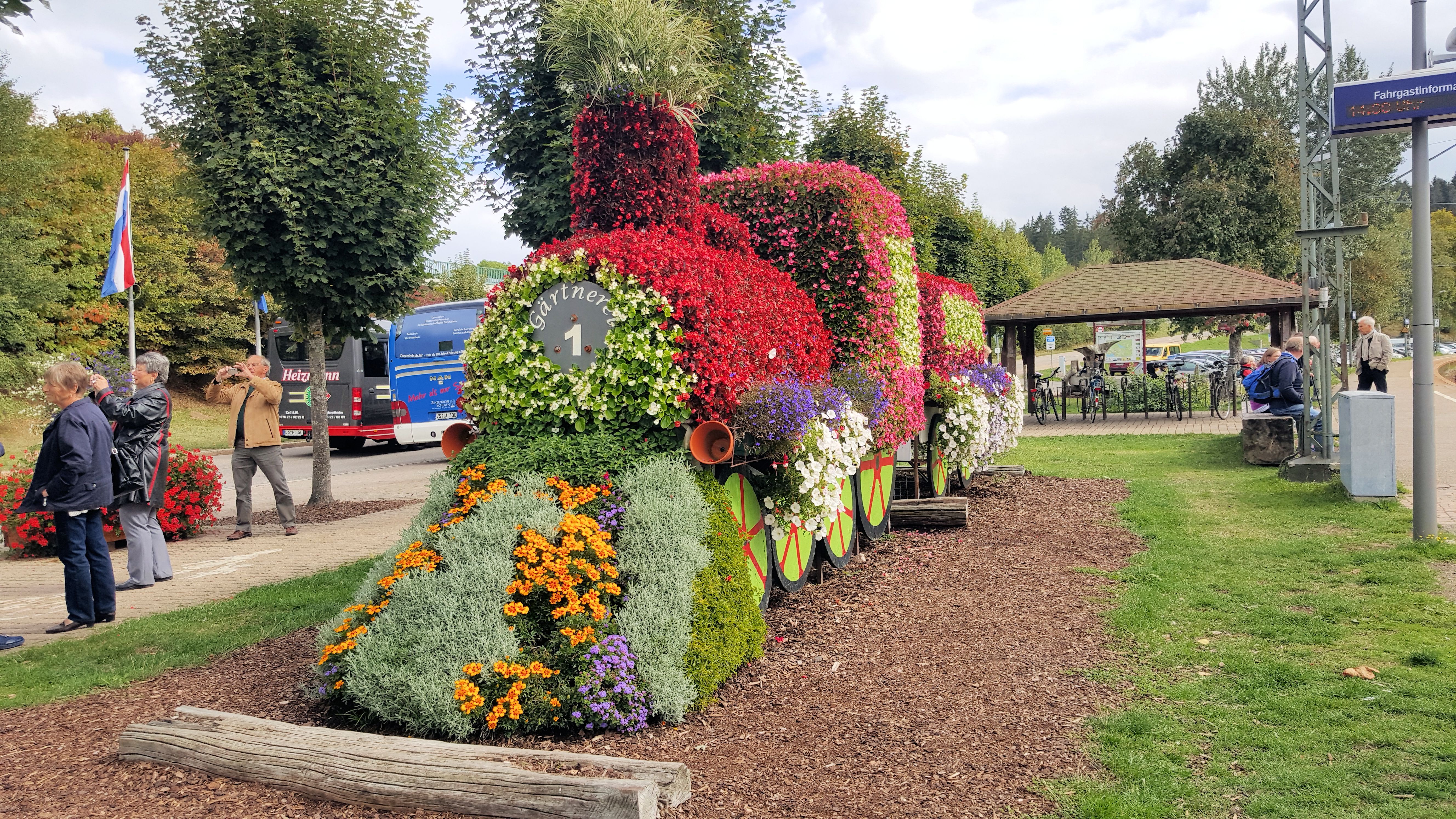 20150926_143038.jpg