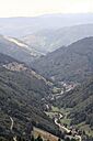 IMG_6798.jpg