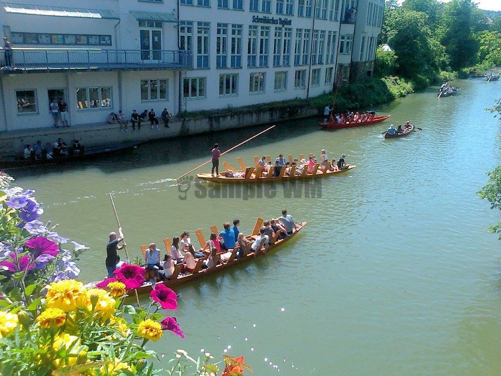 Foto0177.jpg