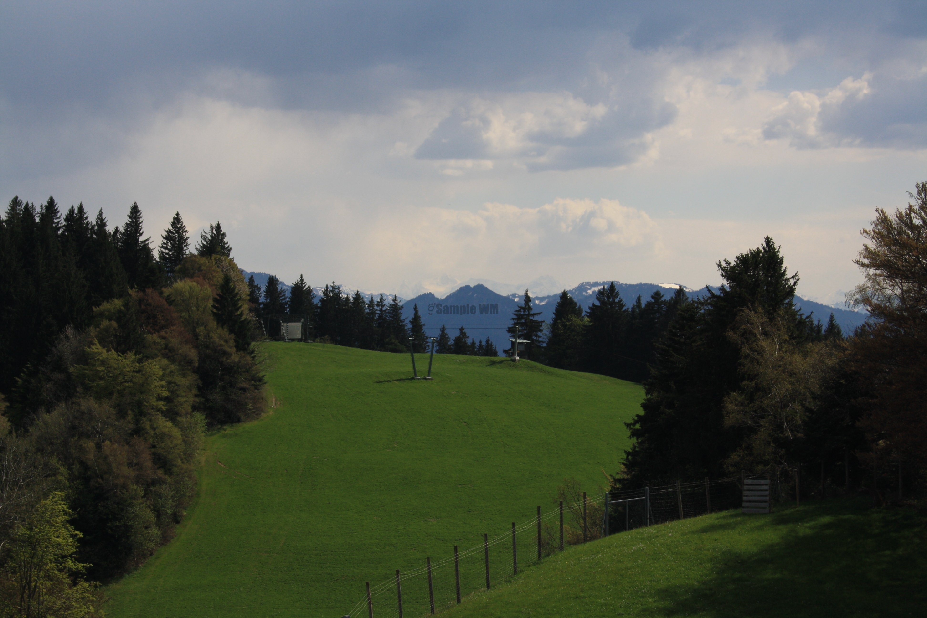 IMG_7325.JPG