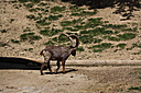 IMG_7298.JPG