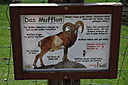 IMG_7299.JPG