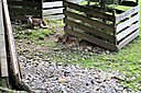 IMG_7305.JPG