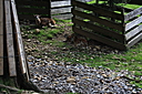 IMG_7306.JPG