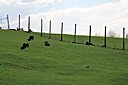 IMG_7307.JPG