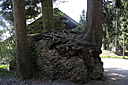 IMG_7312.JPG