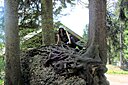 IMG_7313.JPG