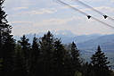 IMG_7317.JPG