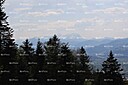 IMG_7317_InPixio.jpg