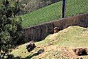 IMG_7322.JPG