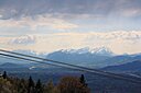 IMG_7328.JPG