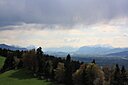 IMG_7333.JPG