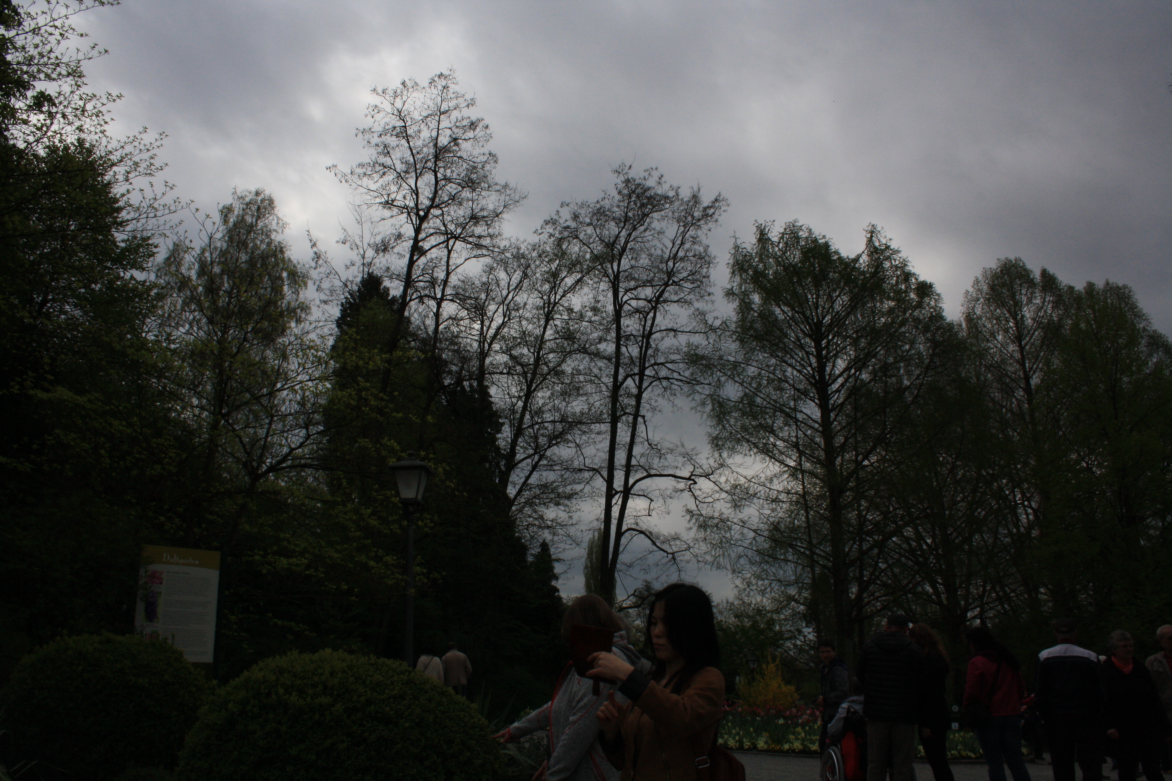 IMG_7751.JPG