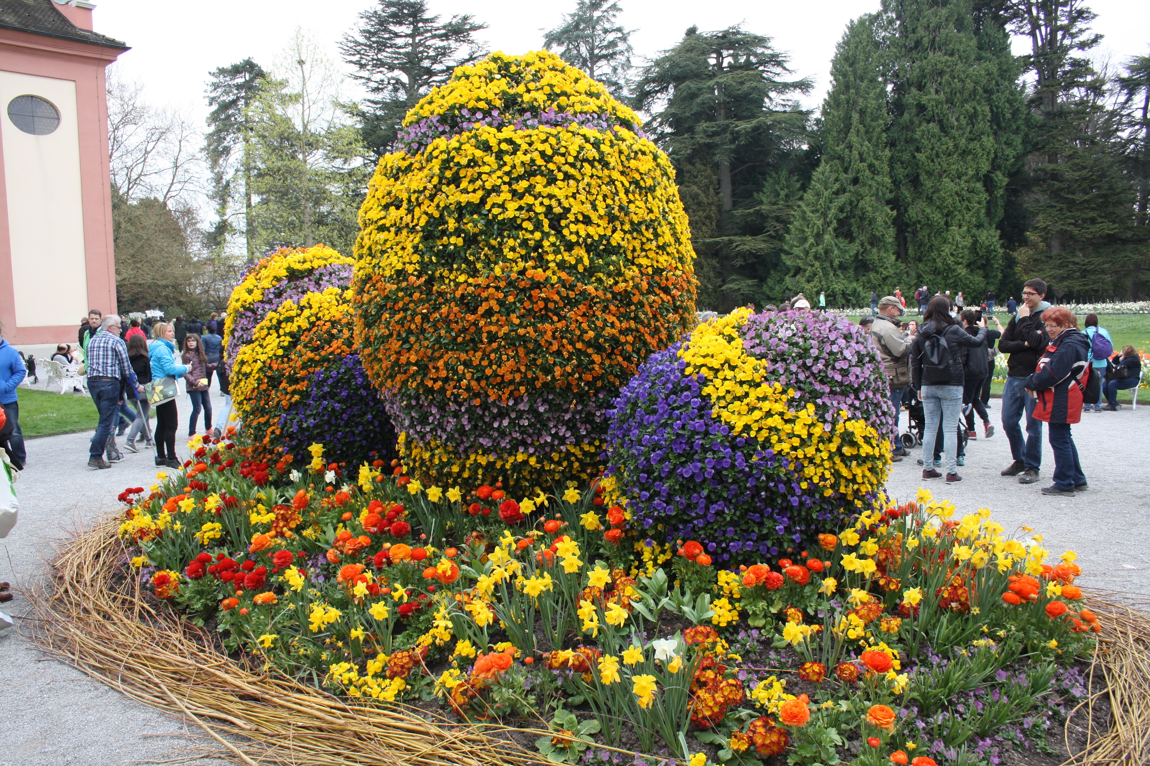 IMG_7784.JPG