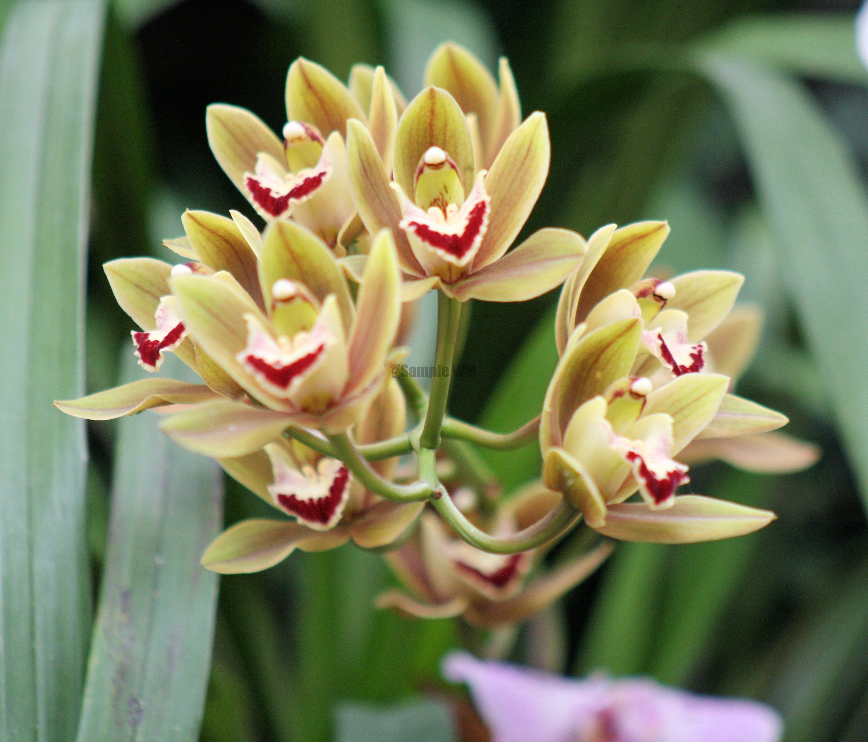 IMG_7813.JPG