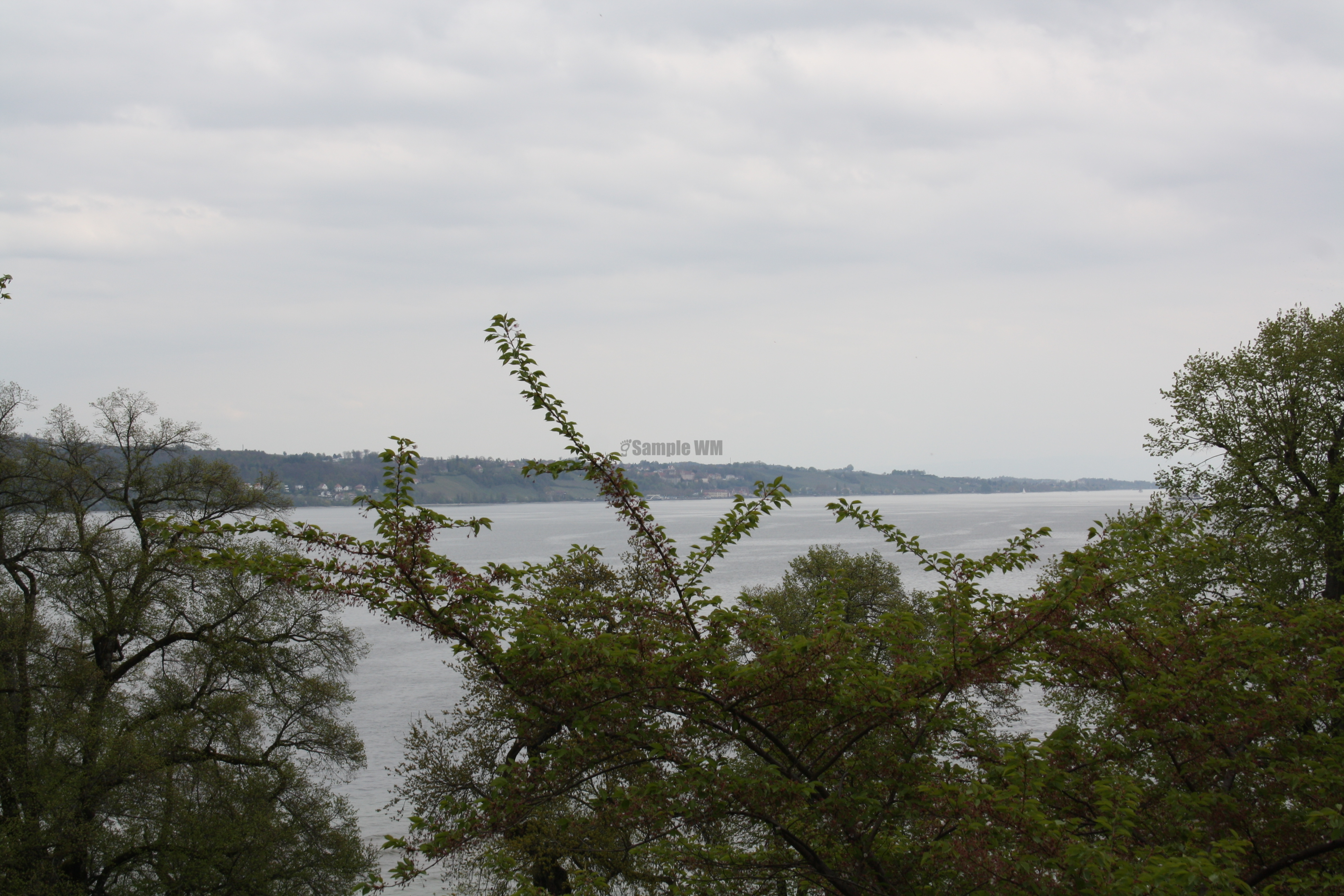 IMG_7827.JPG