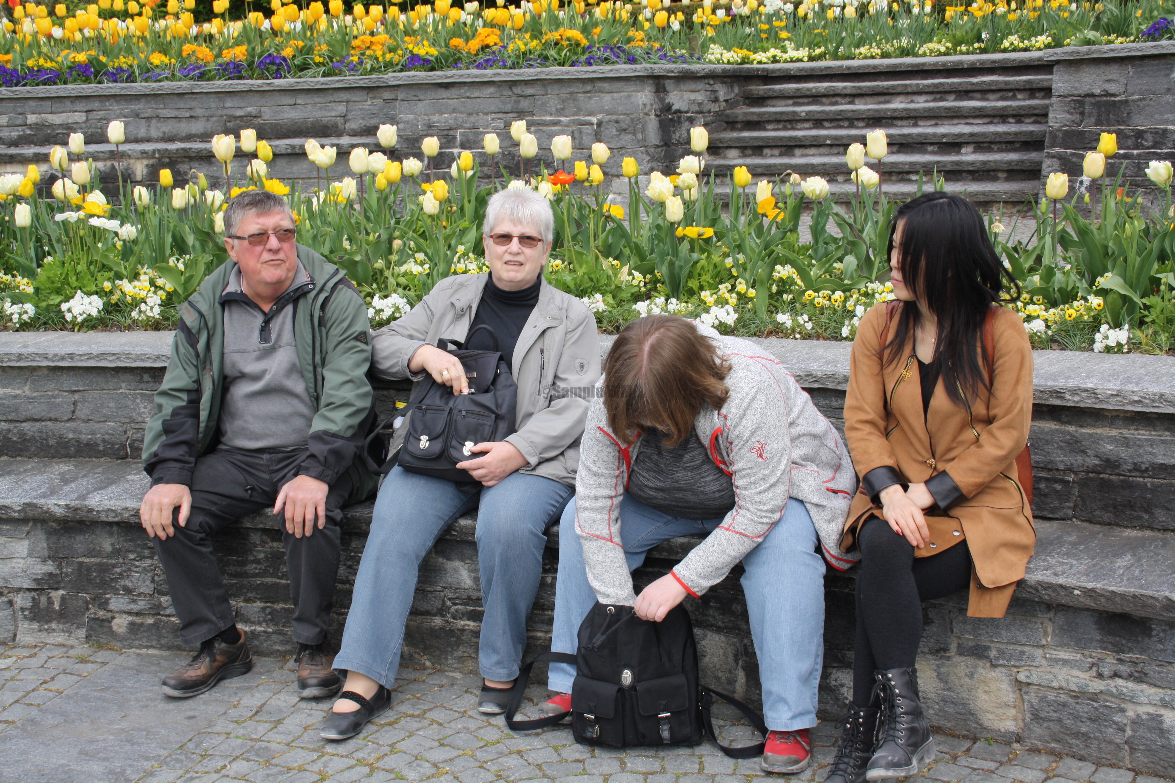 IMG_7853.JPG