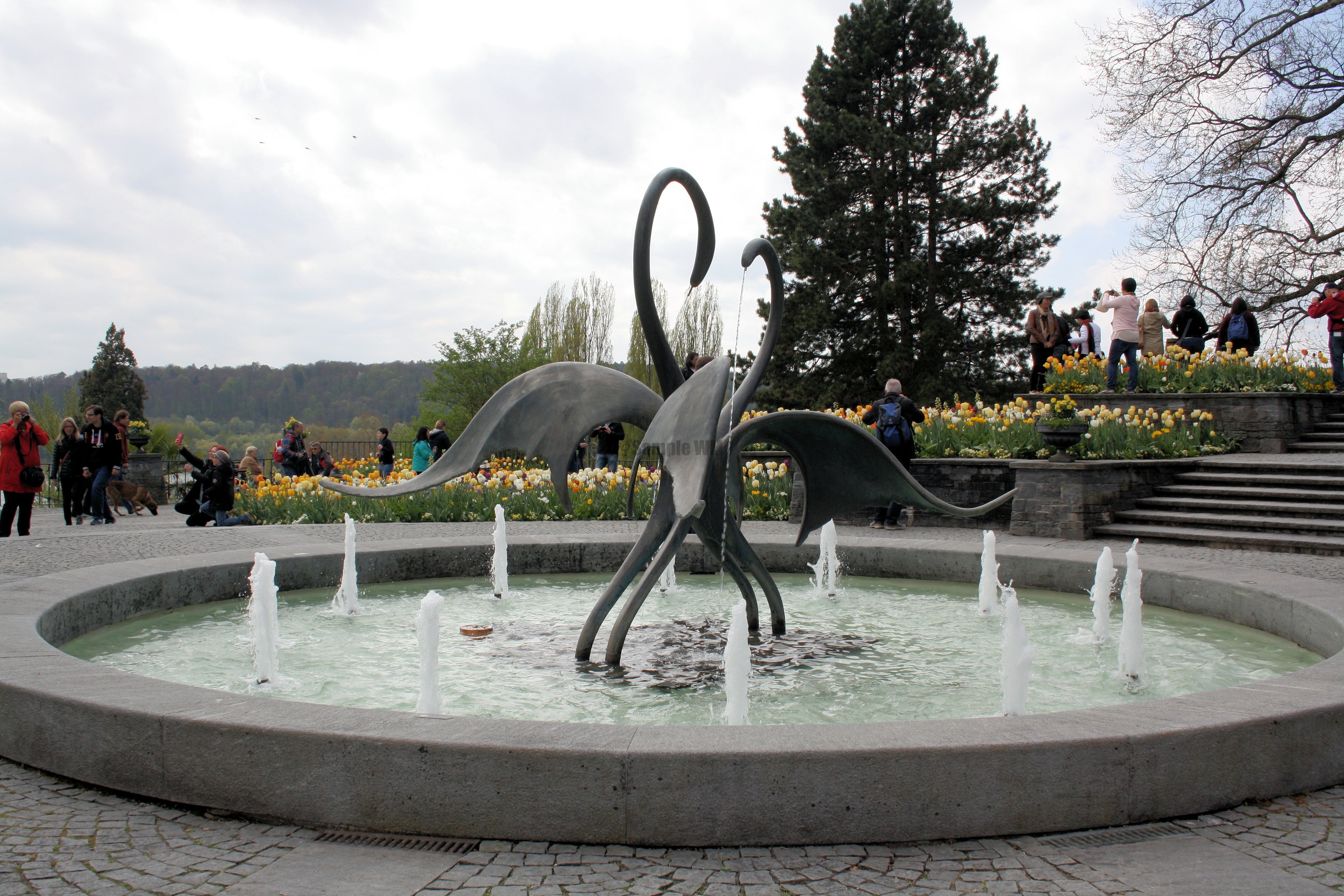 IMG_7854.JPG