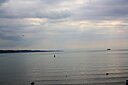 IMG_7713.JPG