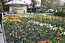 Dateiname=IMG_7721.JPG
Dateigröße=5890KB
Abmessungen: 3888x2592
hinzugefügt am: 24. April 2022 IMG_7721.JPG