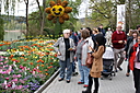 Dateiname=IMG_7722.JPG
Dateigröße=5394KB
Abmessungen: 3888x2592
hinzugefügt am: 24. April 2022 IMG_7722.JPG