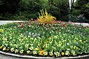 IMG_7750.JPG