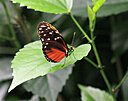 IMG_7755.JPG