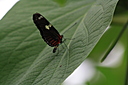 IMG_7757.JPG