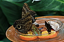 IMG_7759.JPG