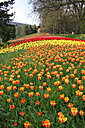 Dateiname=IMG_7845.JPG
Dateigröße=6130KB
Abmessungen: 2592x3888
hinzugefügt am: 24. April 2022 IMG_7845.JPG