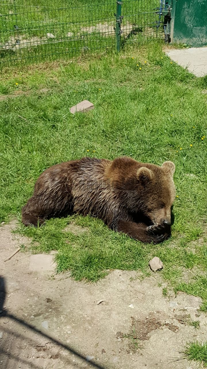 WhatsApp_Image_2018-05-06_at_19_29_11.jpeg