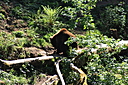 IMG_8306.JPG