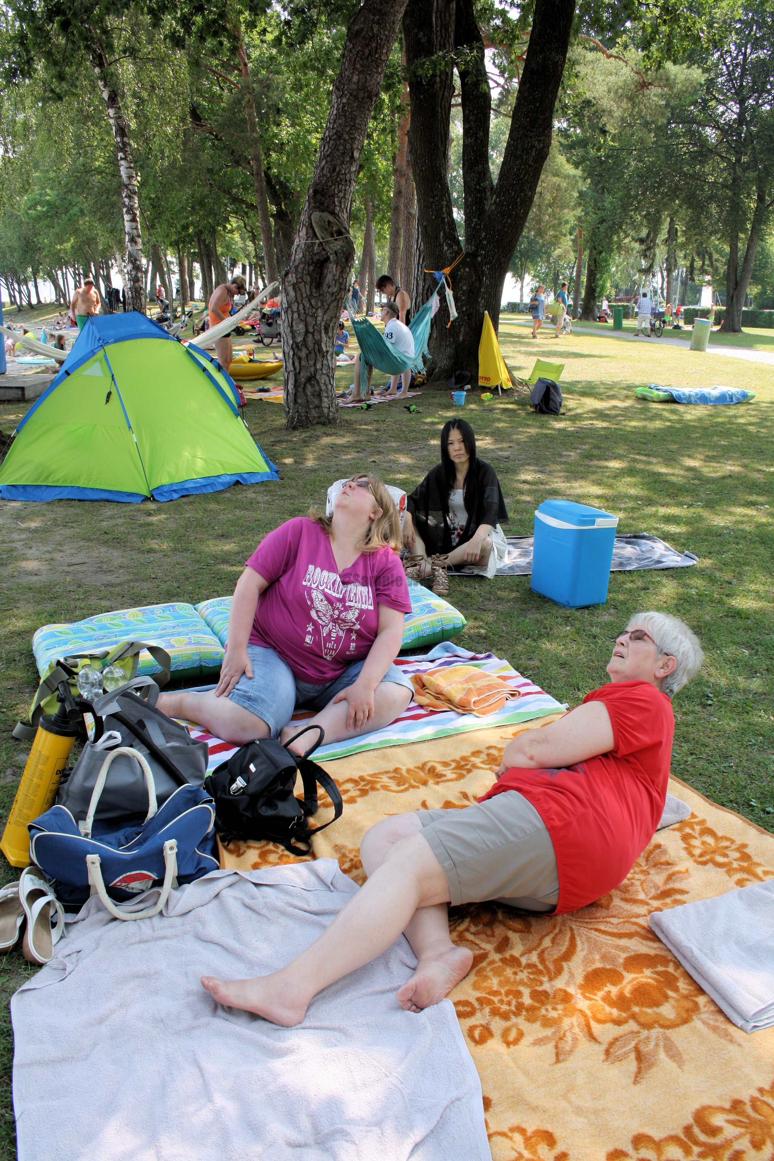 IMG_8356.JPG