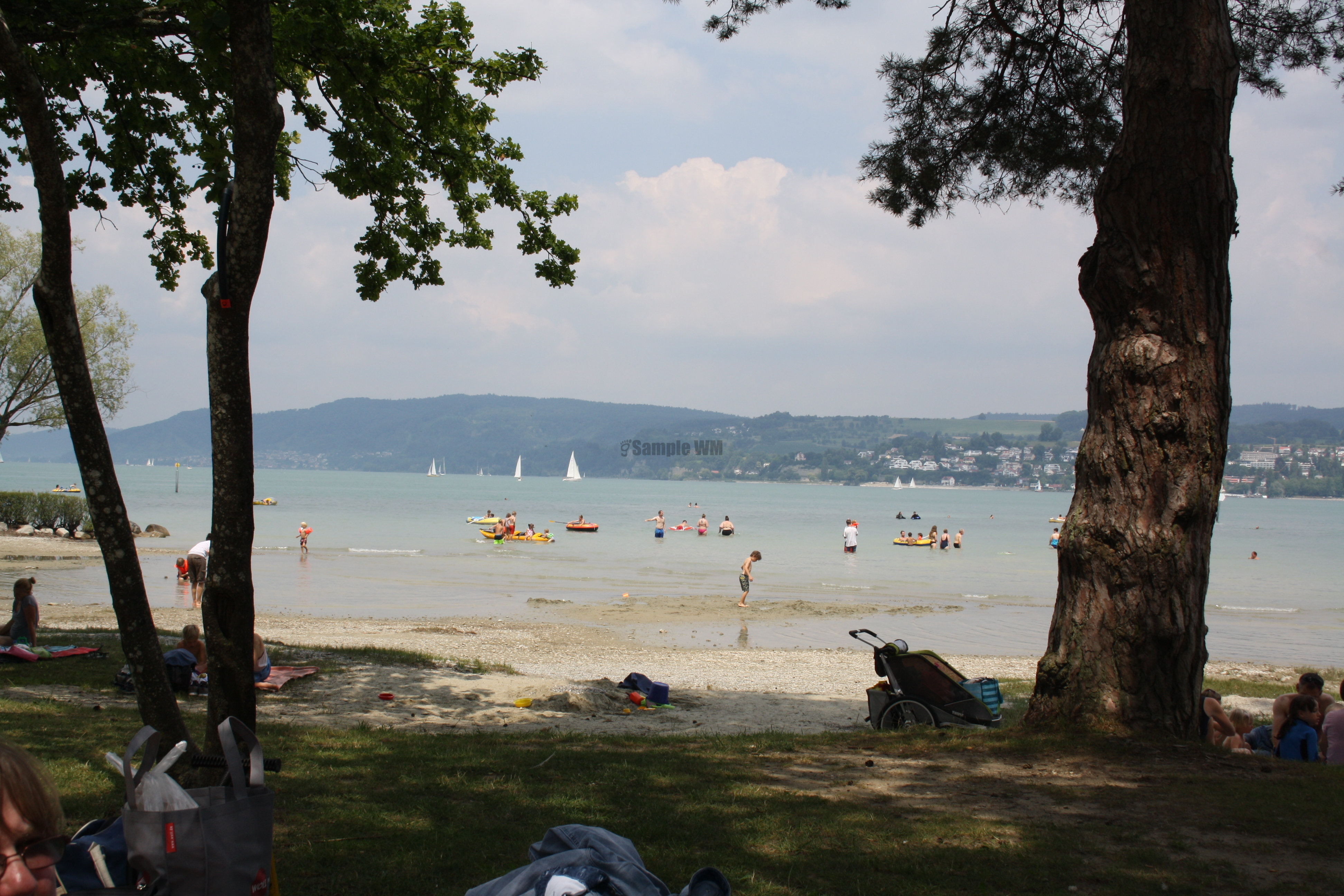 IMG_8357.JPG