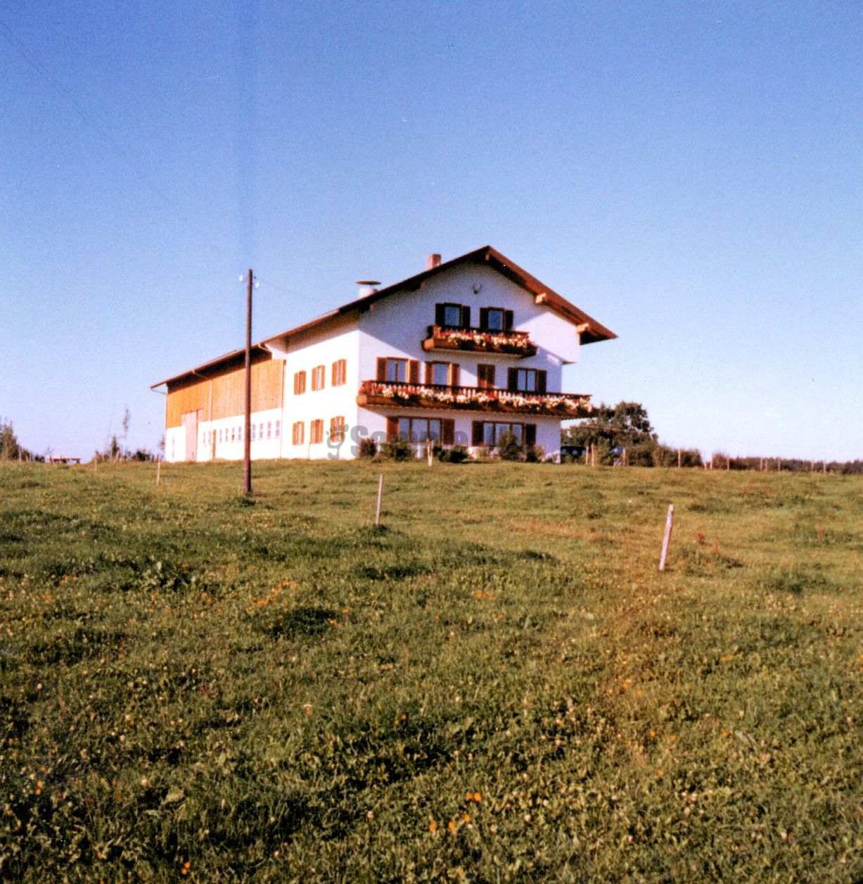 005.jpg