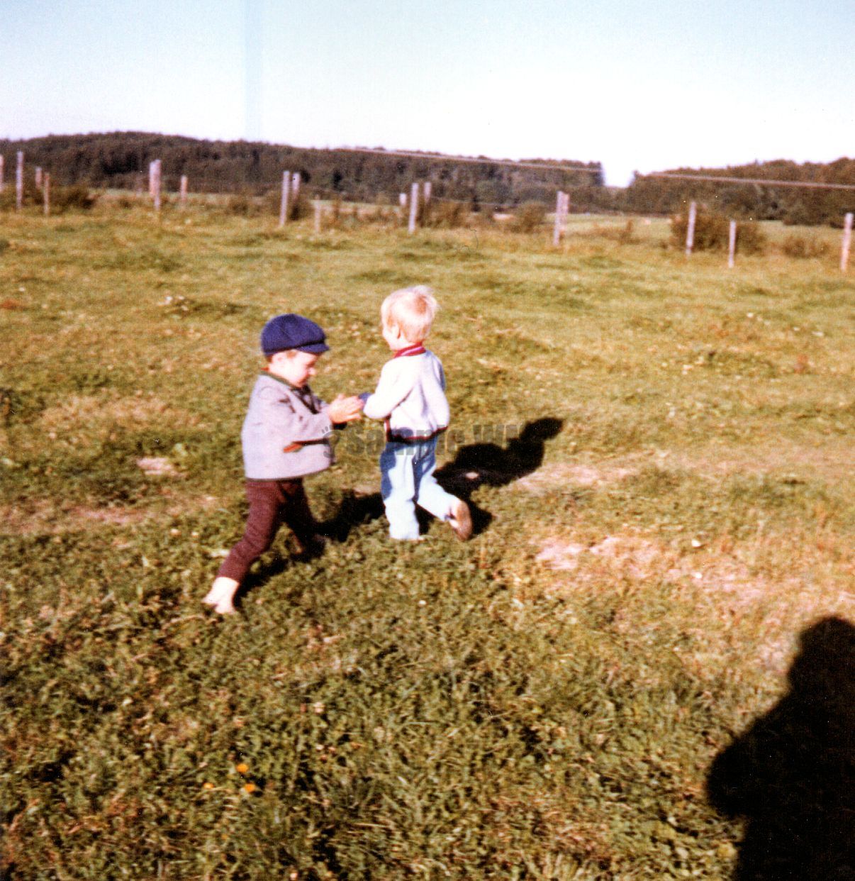 010.jpg