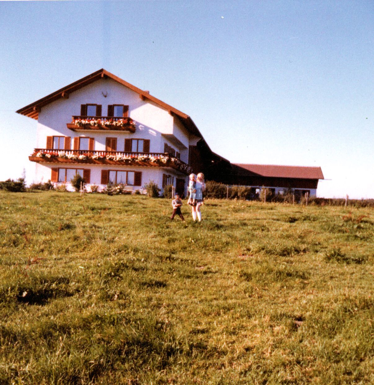011.jpg