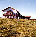011.jpg