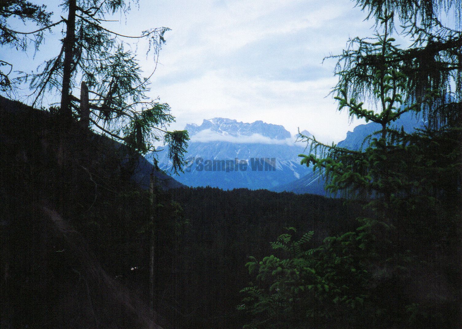 009.jpg