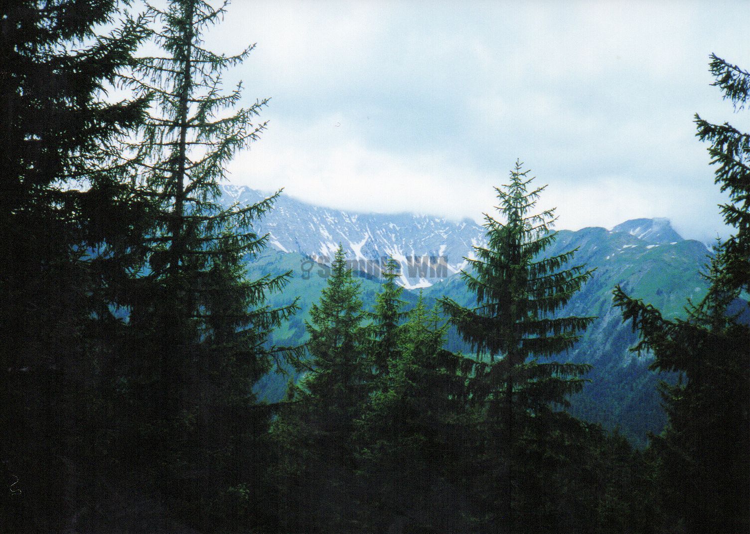 010.jpg