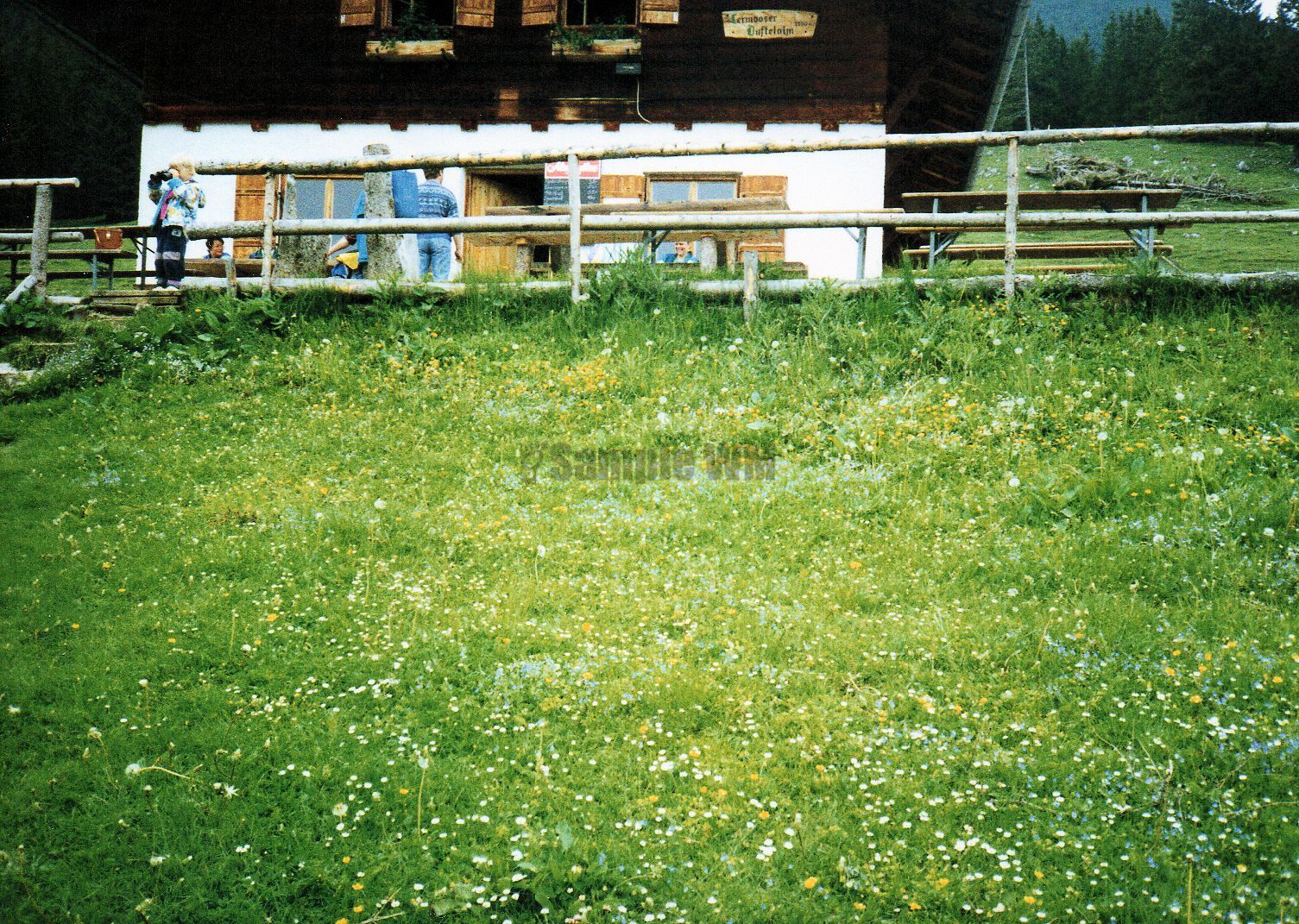 016.jpg