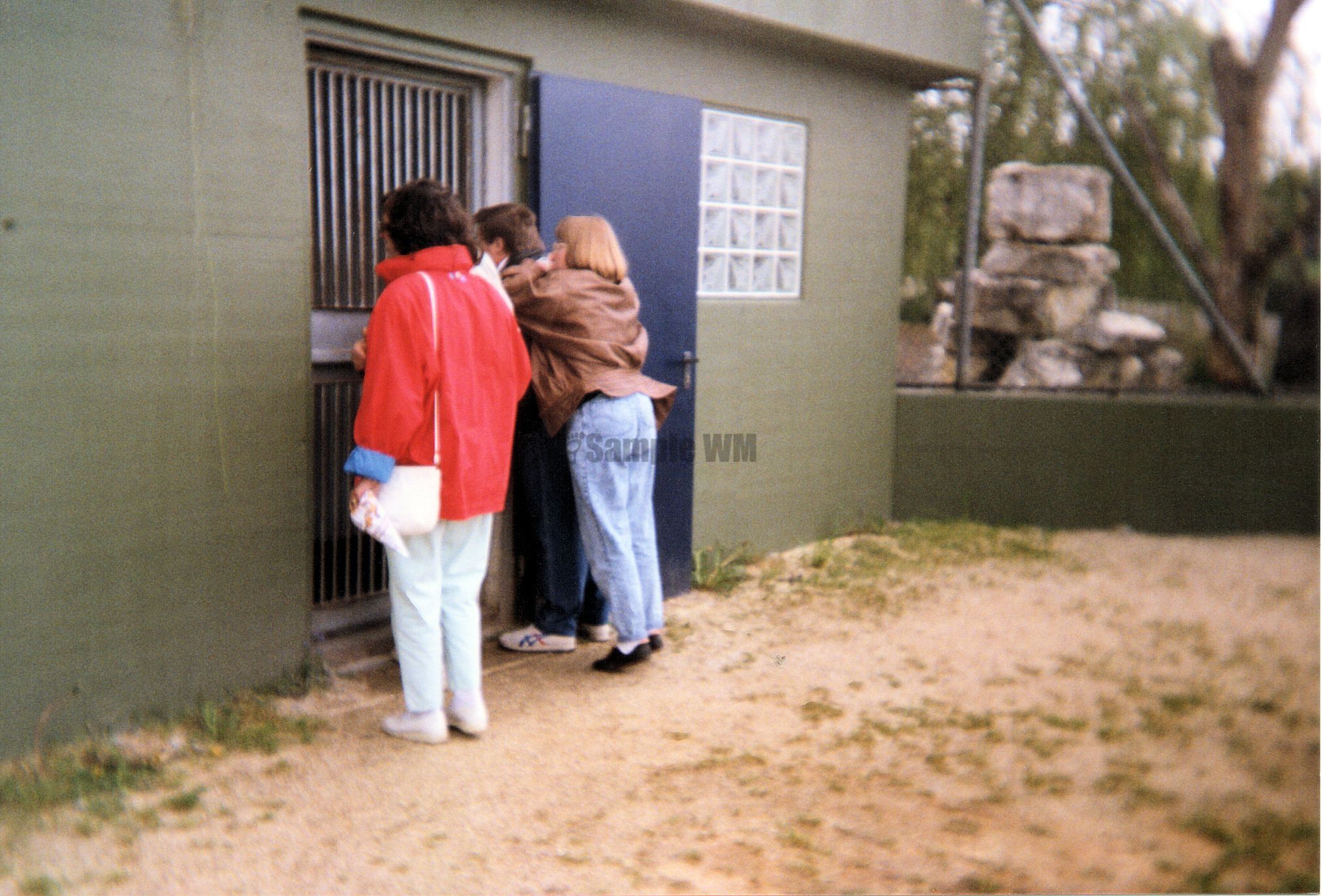 006.jpg