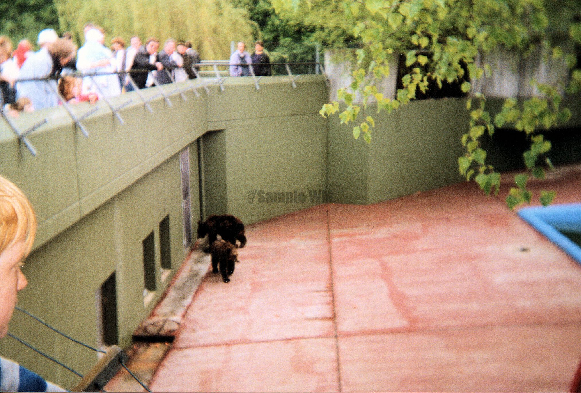 009.jpg