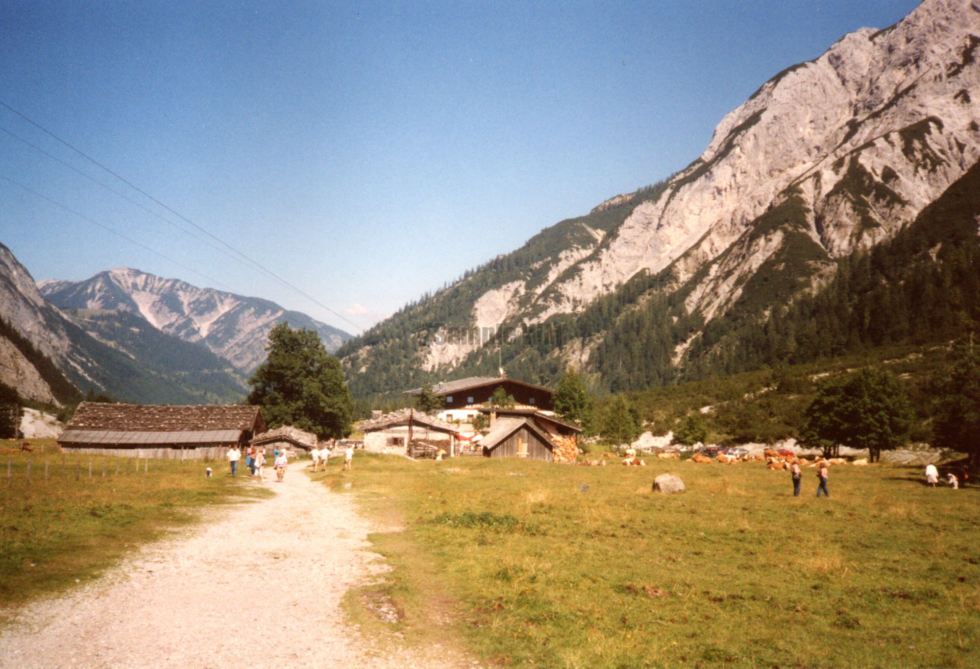 as11.jpg
