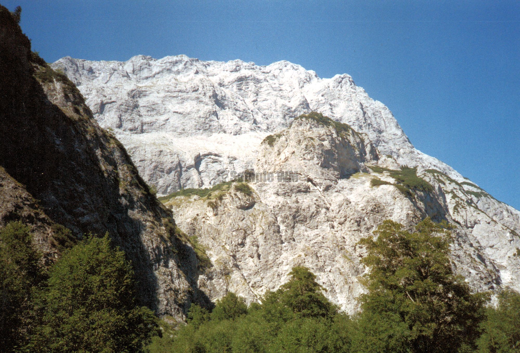 as15.jpg
