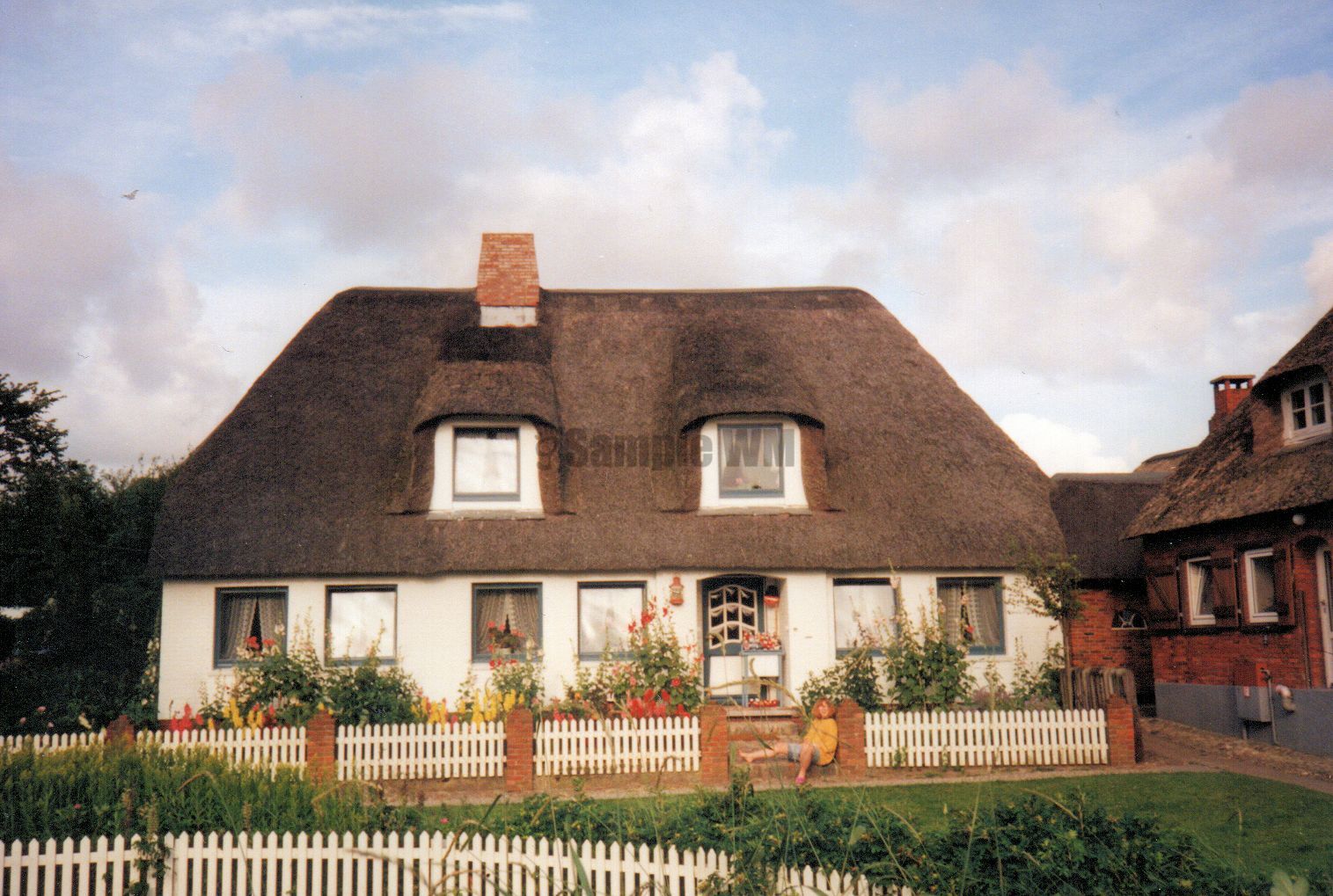 129.jpg