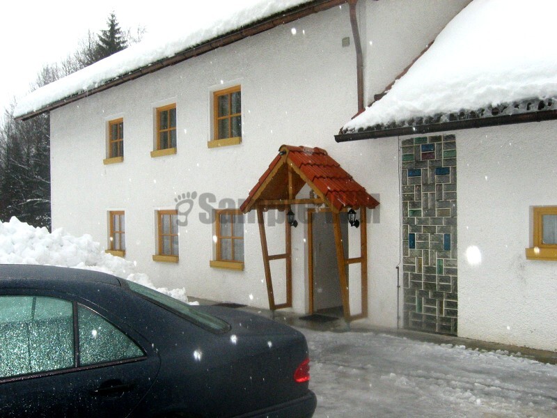 IMG_4515.JPG